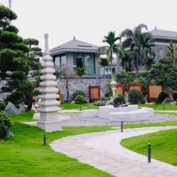 Đơn vị cung cấp cây cảnh bóng mát trong biệt thự