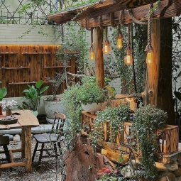 Nhà vườn chuyên nhận trồng cây quán cà phê giá rẻ và uy tín nhất 