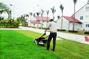 Tại sao phải cắt cỏ phát quang thường xuyên?