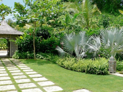 Thi Công Cây Bóng Mát Trồng Sân Vườn Chuyên Nghiệp