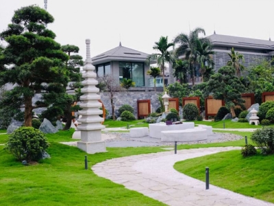 Đơn vị cung cấp cây cảnh bóng mát trong biệt thự