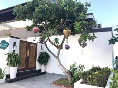 Địa chỉ bán cây lộc vừng trong sân vườn đẹp, giá rẻ