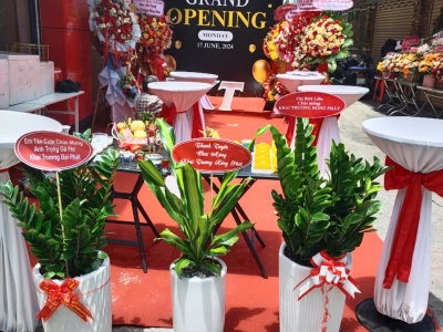 Địa Chỉ Chuyên Bán Cây Tặng Khai Trương TPHCM Uy Tín, Giá Tốt