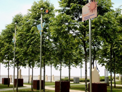 Địa Chỉ Chuyên Cung Cấp Cây Công Trình Chất Lượng, Giá Tốt