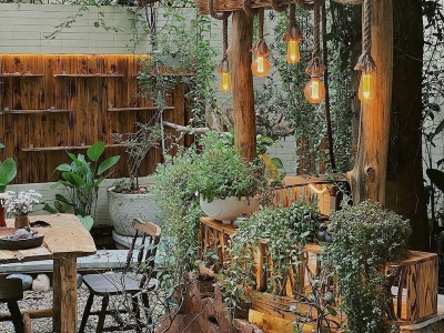 Nhà vườn chuyên nhận trồng cây quán cà phê giá rẻ và uy tín nhất 