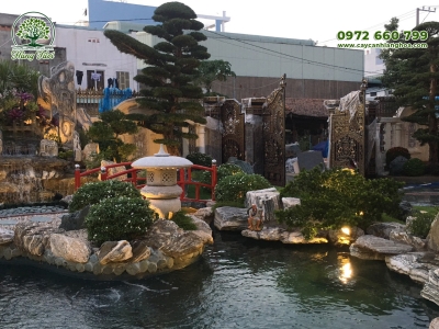 Thi công cảnh quan sân vườn biệt thự