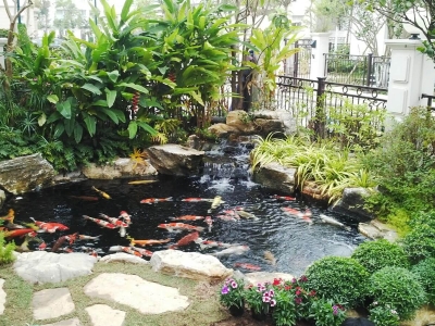 5 bước để có sân vườn luôn xanh tươi