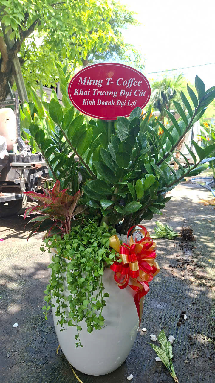 cay-khai-truong-phat-tai-loc
