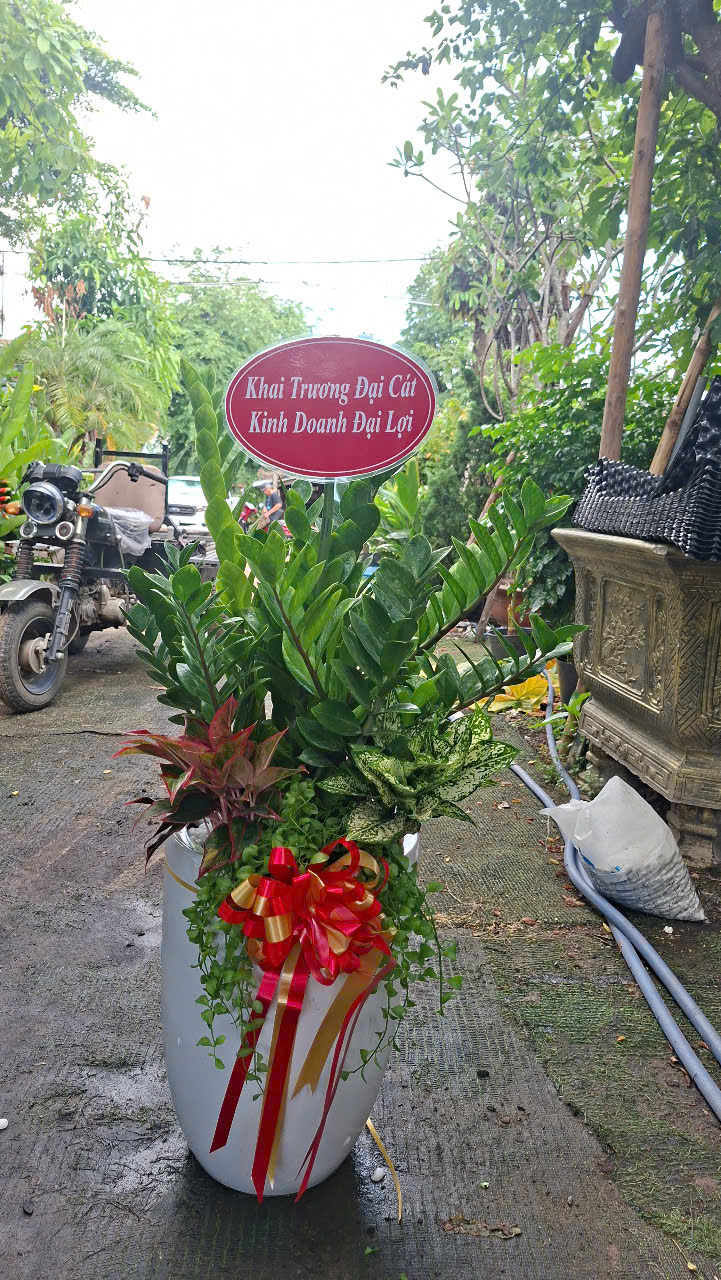 cay-tang-khai-truong-dep